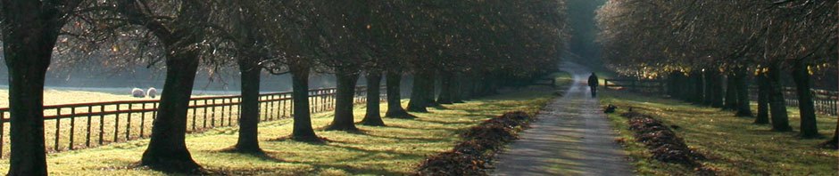 De Rivier Gemeente